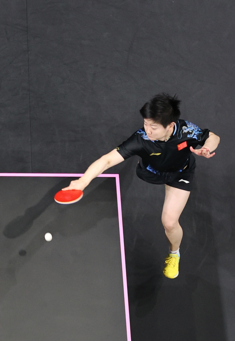 在法甲冠军 在法甲冠军